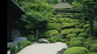 O Óscar que vai para o Japão