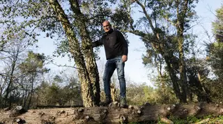 O homem que está a tornar uma mata abandonada num bosque nativo